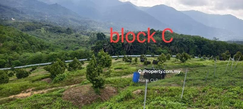 Tanah Pertanian untuk Dijual di Cameron Highlands, Pahang oleh Marie CLP - iProperty.com.my