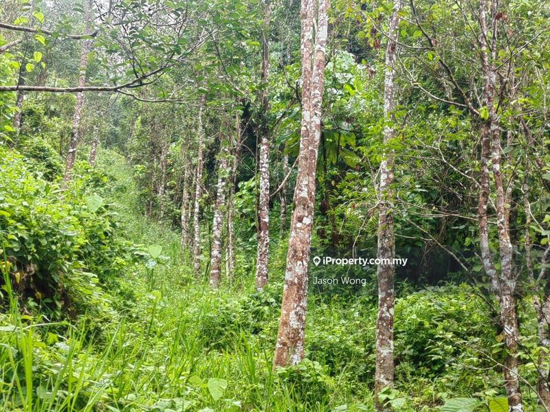 Tanah Pertanian untuk Dijual di Jalan Kota Bharu, Gua Musang, Kuala Krai, Kelantan, Gua Musang oleh Jason Wong - iProperty.com.my