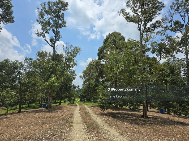 Agricultural Land for Sale in Karak, Pahang by Irene Leong - iProperty.com.my