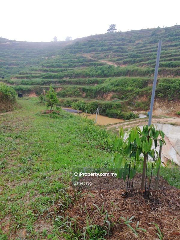 Agricultural Land for Sale in Taman Ampang Pecah, Kuala Kubu Bharu by Janet Ng - iProperty.com.my