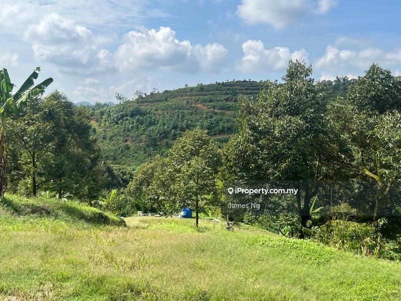 Agricultural Land for Sale in SG.GAPOI, Karak by James Ng - iProperty.com.my