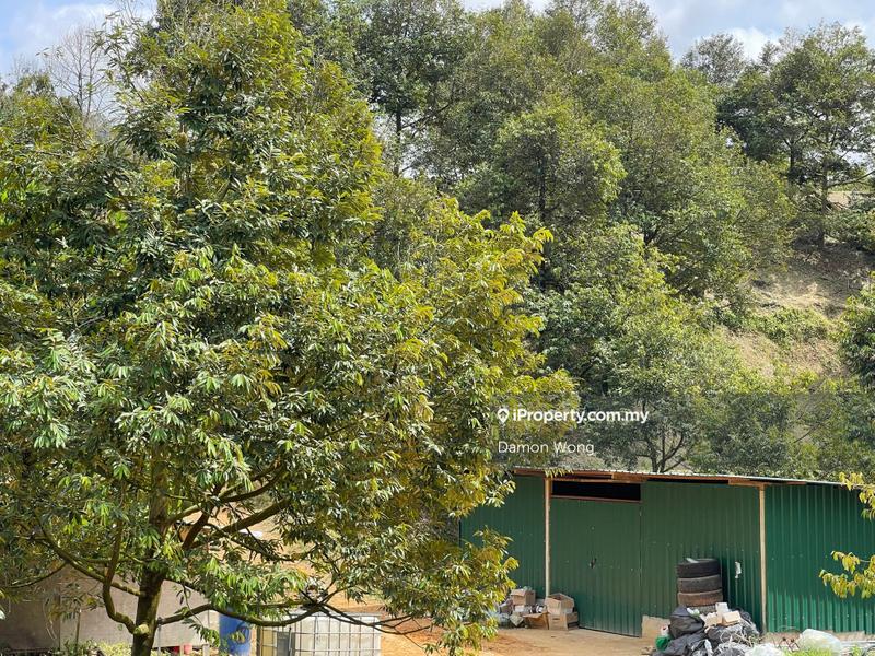 Agricultural Land for Sale in Karak, Bentong by Damon Wong - iProperty.com.my