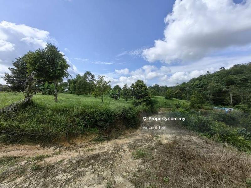 Agricultural Land for Sale in Bandar Lipis, Kuala Lipis by Vincent Tee - iProperty.com.my