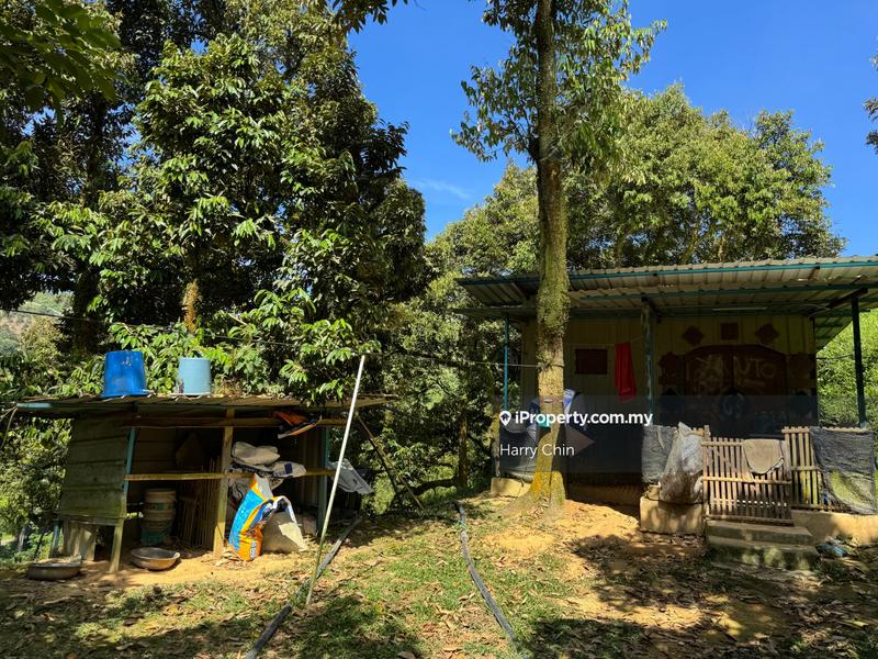 Agricultural Land for Sale in Karak, Bentong by Harry Chin - iProperty.com.my