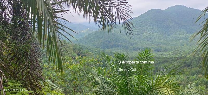 Tanah Pertanian untuk Dijual di Bandar Tras, Raub oleh Jimmy Goh - iProperty.com.my