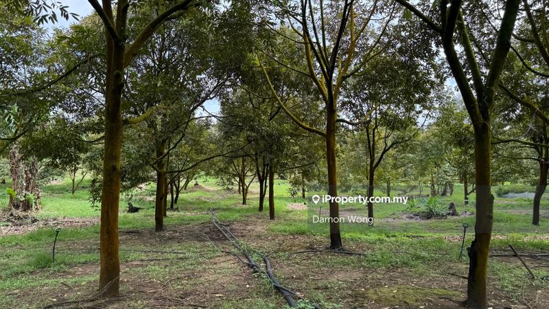 Agricultural Land for Sale in Cinta Manis, Karak by Damon Wong - iProperty.com.my
