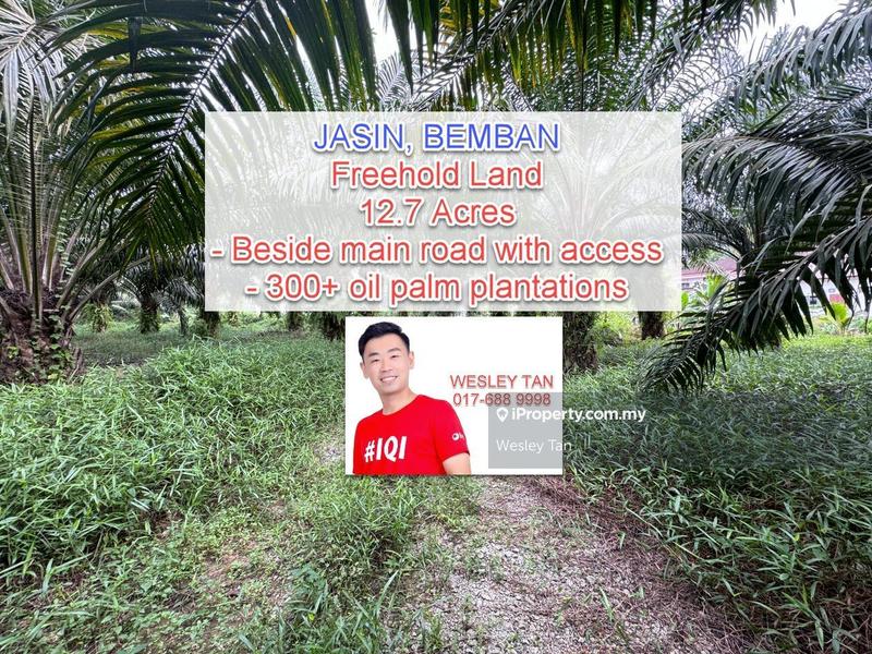 For Sale - Bemban Land
