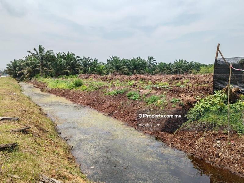 Agricultural Land for Sale in Kampung Batu 28, Pekan Nenas by Alexius Lim - iProperty.com.my