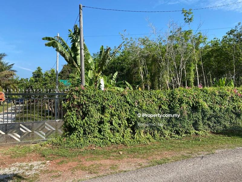 Agricultural Land for Sale in Panchor, Durian Tunggal by Benjamin Yap - iProperty.com.my