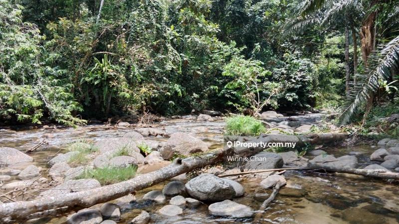 Agricultural Land for Sale in Tapah Perak 550 Acres Freehold Agriculture Land, Tapah by Winnie Chan - iProperty.com.my