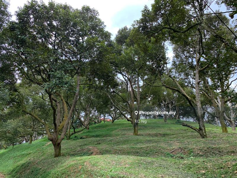 Agricultural Land for Sale in Raub, Raub by KC Ng - iProperty.com.my