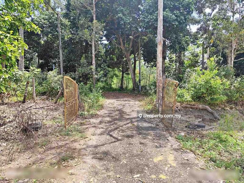 Agricultural Land for Sale in Bukit Damar, Lanchang, Temerloh by S. Melisa - iProperty.com.my