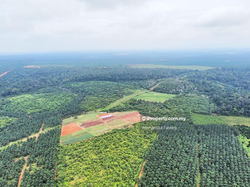 Agricultural Land for Sale in Pantai, Negeri Sembilan by Mohamad Faleeq - iProperty.com.my