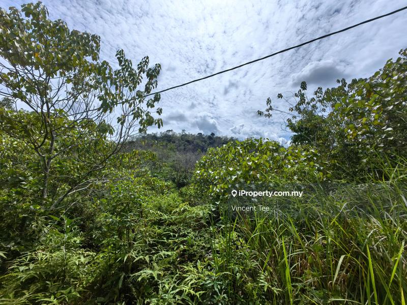 Agricultural Land for Sale in Kerambit, Kuala Lipis by Vincent Tee - iProperty.com.my