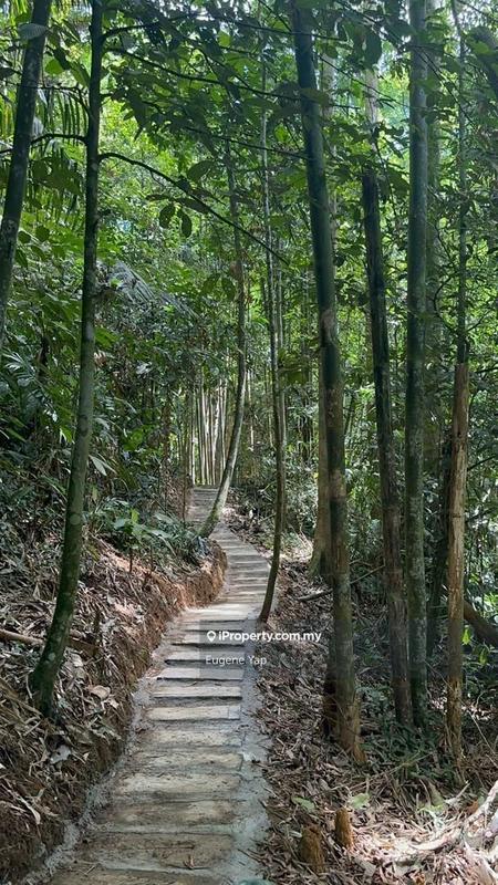 Tanah Pertanian untuk Dijual di 3 Acre Resort,Tanarimba @ Janda Baik, Bukit Tinggi, Bentong oleh Eugene Yap - iProperty.com.my