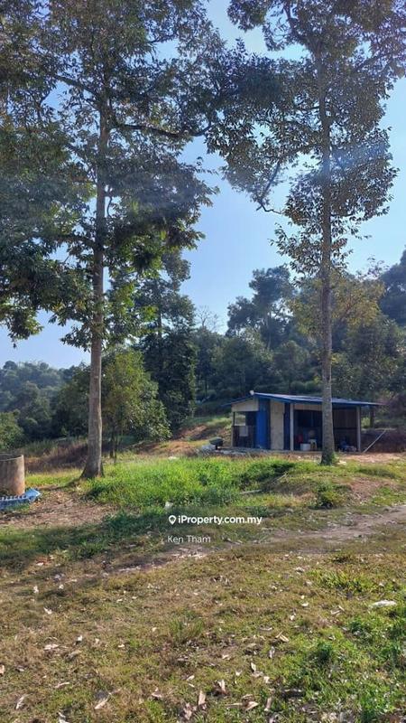 Agricultural Land for Sale in Taman Jelebu, Kuala Klawang by Ken Tham - iProperty.com.my