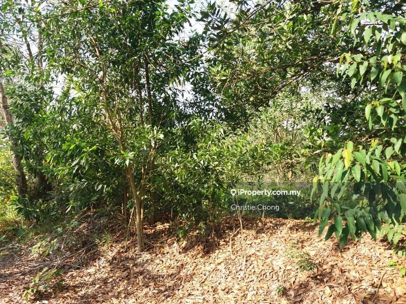 For Sale - Commercial Land