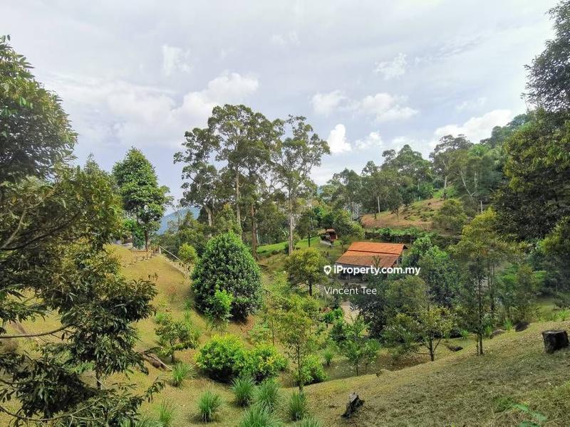 Tanah Pertanian untuk Dijual di Bukit Relau, Balik Pulau oleh Vincent Tee - iProperty.com.my