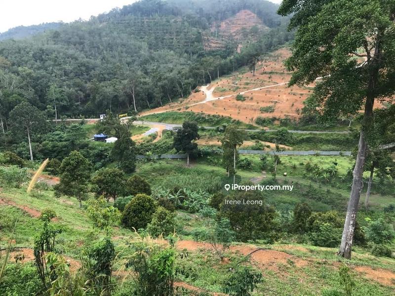 Agricultural Land for Sale in Karak, Pahang by Irene Leong - iProperty.com.my