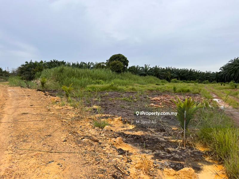 Agricultural Land for Sale in Kampung Pulau Penarek Sg Mati, Tangkak by M Jamil Ali - iProperty.com.my