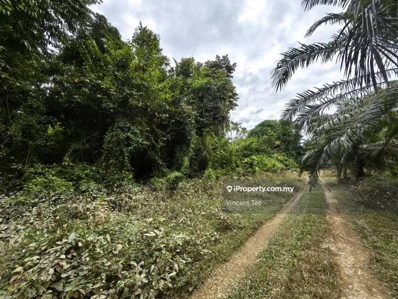 Tanah Pertanian untuk Dijual di Bandar Baru Temerloh, Temerloh oleh Vincent Tee - iProperty.com.my