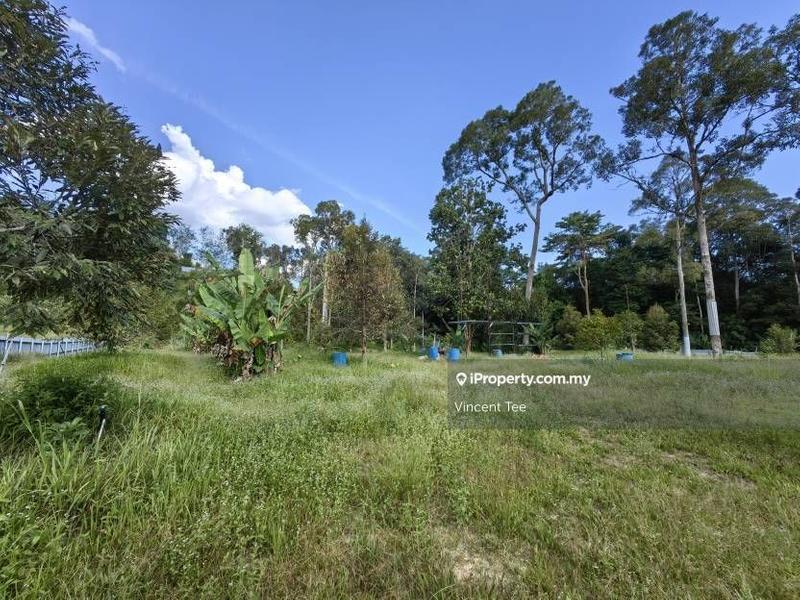 For Sale - 2 Acres Freehold Durian Farm Next to River Padang Tengku Kuala Lipis Raub Bentong