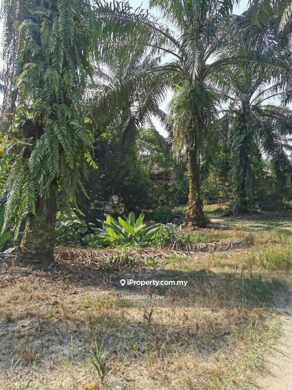 Tanah Pertanian untuk Dijual di Kulim, Kedah oleh JeehJeeh Kaw - iProperty.com.my