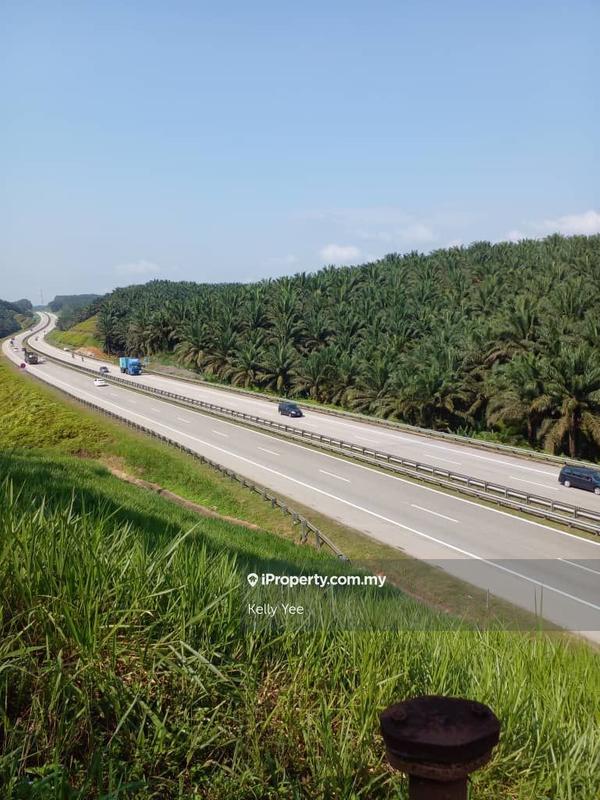 Agricultural Land for Sale in Palm Oil Plantation @ Ulu Lepar, Kuantan for Sale, Kuantan by Kelly Yee - iProperty.com.my