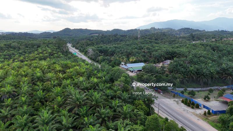 Tanah Pertanian untuk Dijual di Pekan Gambang, Kuantan oleh Irene Leong - iProperty.com.my