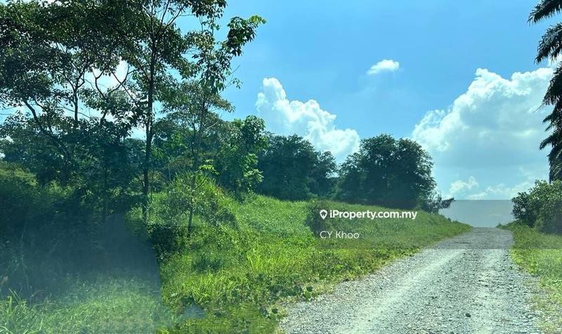 Agricultural Land for Sale in Kempas, Johor Bahru by CY Khoo - iProperty.com.my