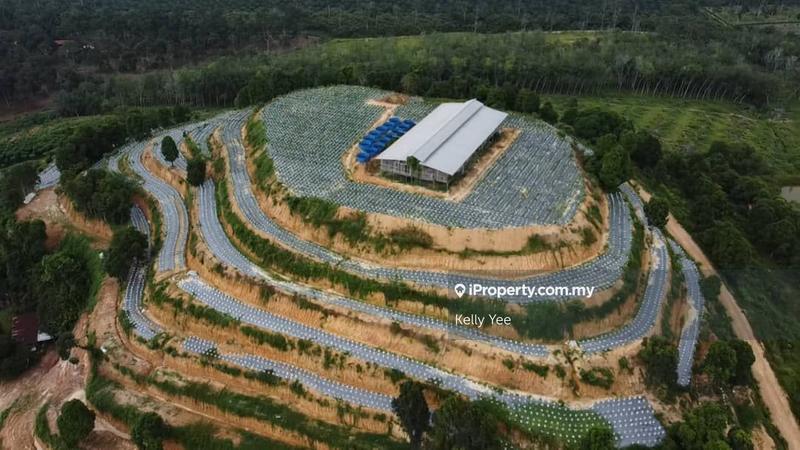 Agricultural Land for Sale in Kampung Legong Jaya, Gadong by Kelly Yee - iProperty.com.my