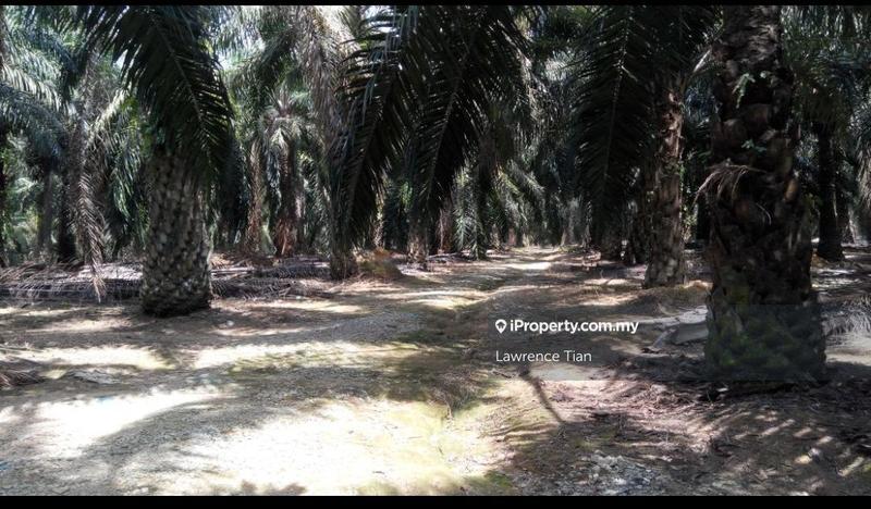 For Sale - Bukit Mertajam land sale