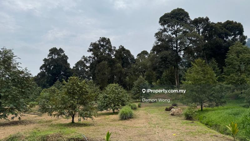 Agricultural Land for Sale in Karak, Karak by Damon Wong - iProperty.com.my
