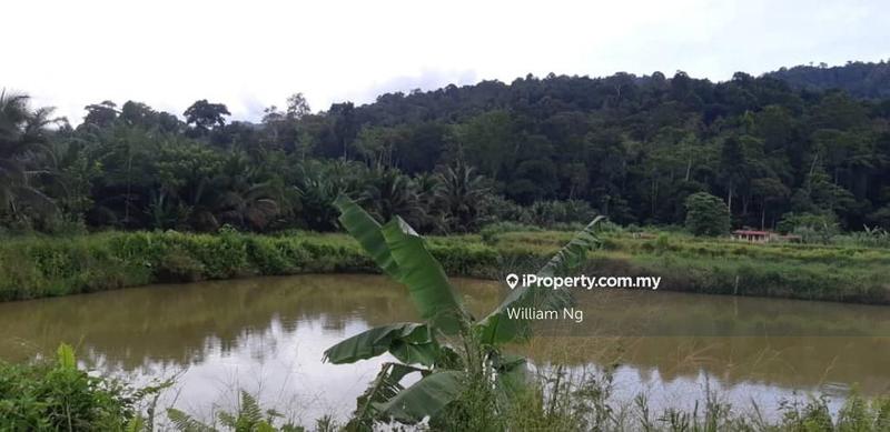 Tanah Pertanian untuk Dijual di Taman Jelebu, Kuala Klawang oleh William Ng - iProperty.com.my