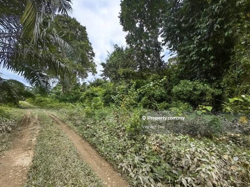 Tanah Pertanian untuk Dijual di Bandar Baru Temerloh, Temerloh oleh Vincent Tee - iProperty.com.my