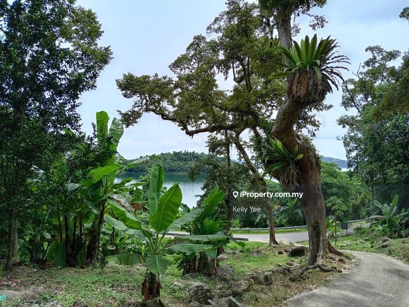 For Sale - Mengkuang Dam Orchard Farm for Sale