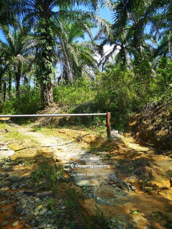 For Sale - Ibok - Kemaman