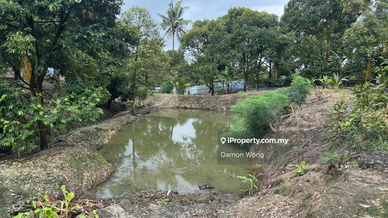 Agricultural Land for Sale in Sungai Klau, Gali by Damon Wong - iProperty.com.my