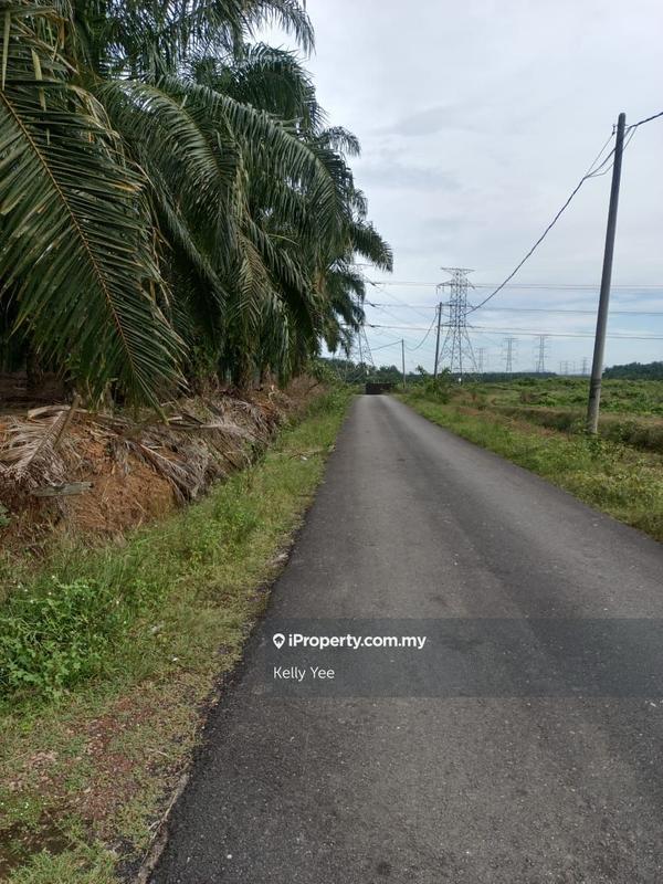 Tanah Pertanian untuk Dijual di Palm Oil Plantation @ Kulim for Sale, Kulim oleh Kelly Yee - iProperty.com.my