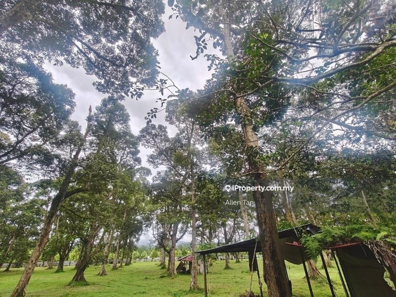 Tanah Pertanian untuk Dijual di Nearby Taman Utama, Pekan Nanas oleh Allen Tan - iProperty.com.my