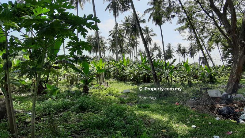 Agricultural Land for Rent in Kapar Batu 13, Klang by Sam Yap - iProperty.com.my