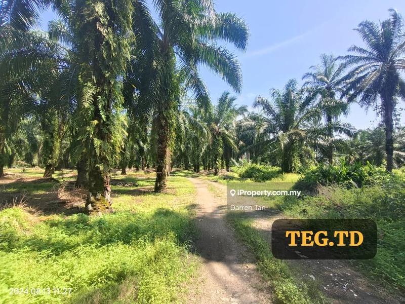Agricultural Land for Sale in Kampung Jenjarom, Jenjarom, Selangor, Jenjarom by Darren Tan - iProperty.com.my