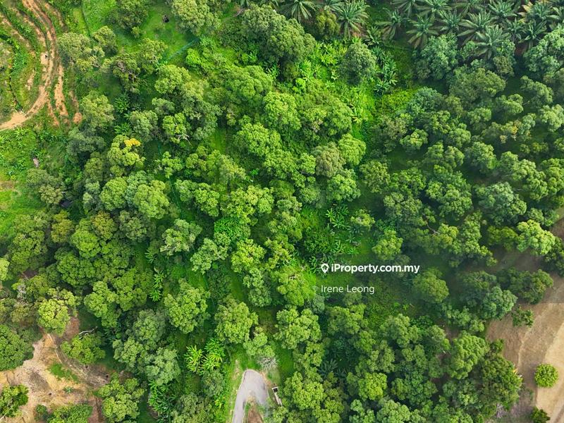 Agricultural Land for Sale in Karak, Pahang by Irene Leong - iProperty.com.my