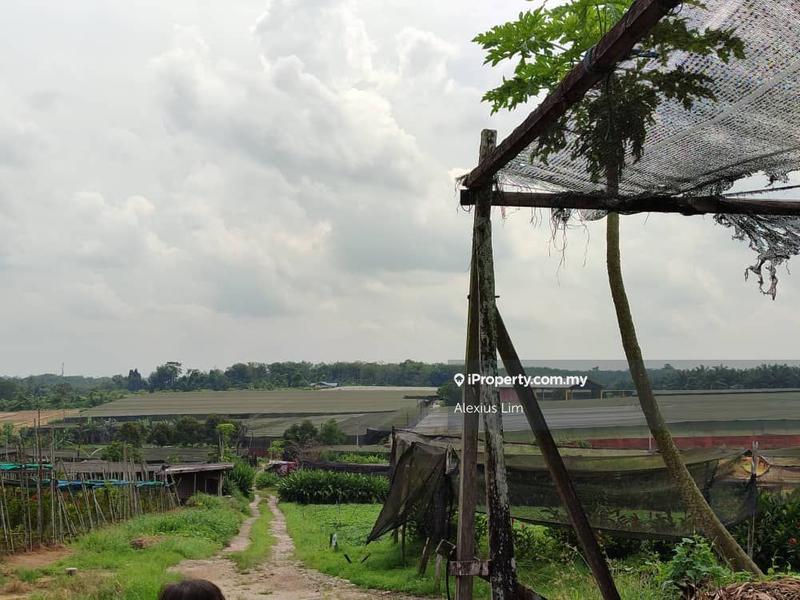 Agricultural Land for Sale in ORKID FARM @ BANFOO ( beside Desaru highway, Kampung Ban foo ) by Alexius Lim - iProperty.com.my
