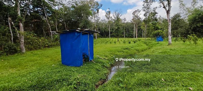 Agricultural Land for Sale in Batang Kali, Selangor by Iz Hakim - iProperty.com.my
