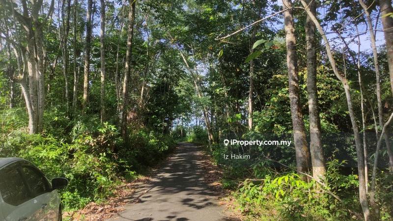Tanah Pertanian untuk Dijual di hulu rening, Batang Kali oleh Iz Hakim - iProperty.com.my