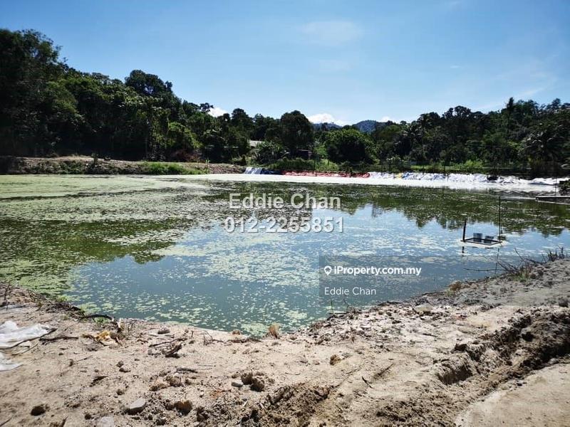 For Sale - Hulu Langat (Agriculture Land + Fish Pond / Kolam Ikan)