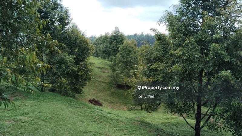 Tanah Pertanian untuk Dijual di Kampung Sungai Terap, Serdang oleh Kelly Yee - iProperty.com.my