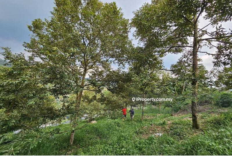 Tanah Pertanian untuk Dijual di Kampung Sungai Makau, Hulu Langat oleh Ivan Tan - iProperty.com.my