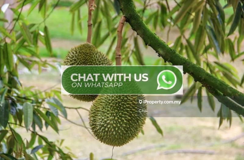 Agricultural Land for Sale in Sabai, Karak by Chai - iProperty.com.my